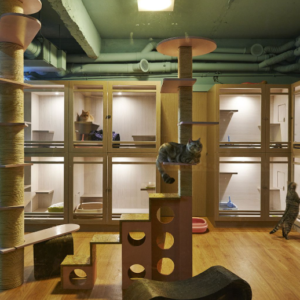 3 Hrs Short-Term Stay